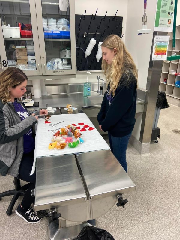 Students from Concord University's Upward Bound program at the Teddy Bear Repair station during the Virginia-Maryland College of Vet Medicine's community event